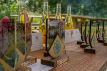 Titulbilde Palsmanes rakstam